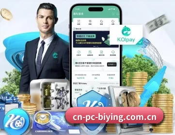 cn-pc-biying.com.cn APP 深度功能